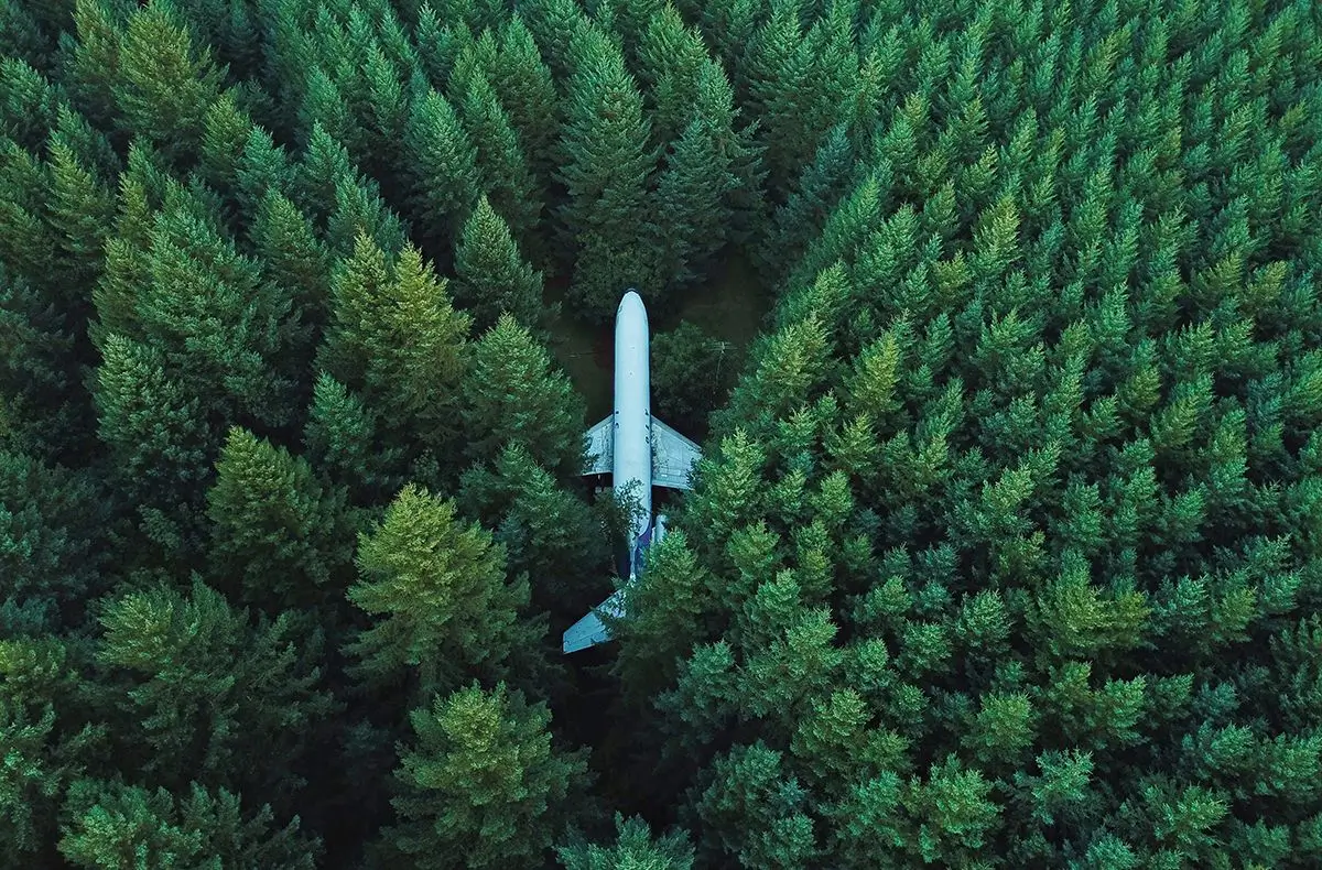Aerial view of an airplane sitting in a dense forest